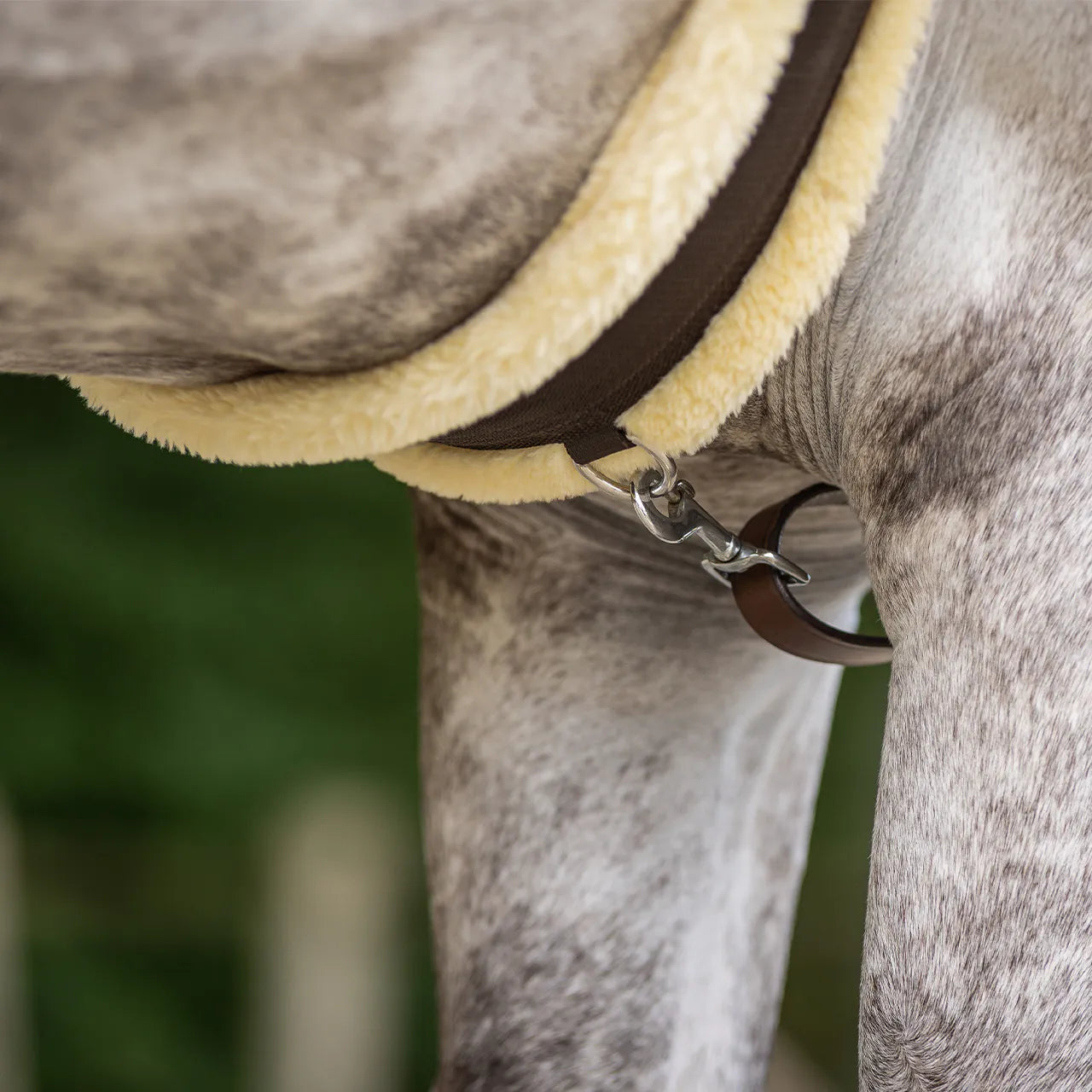 Cincha All Purpose cincha Ontario QHP para equitación - vista 8