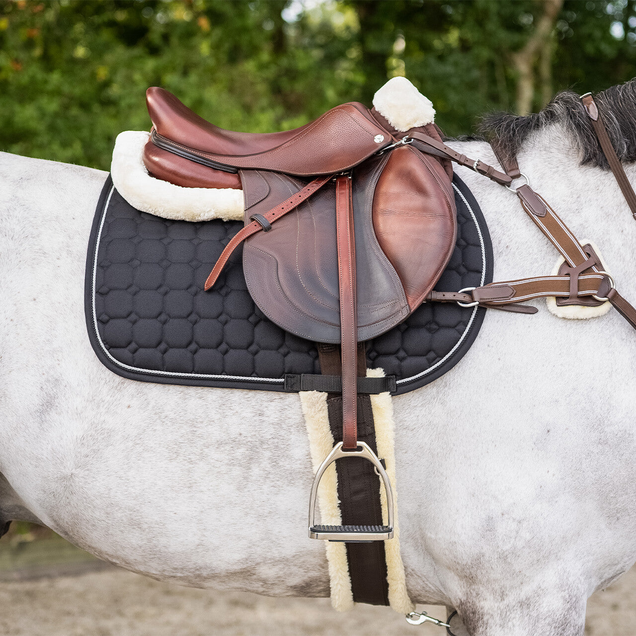 Cincha All Purpose cincha Ontario QHP para equitación - vista 9