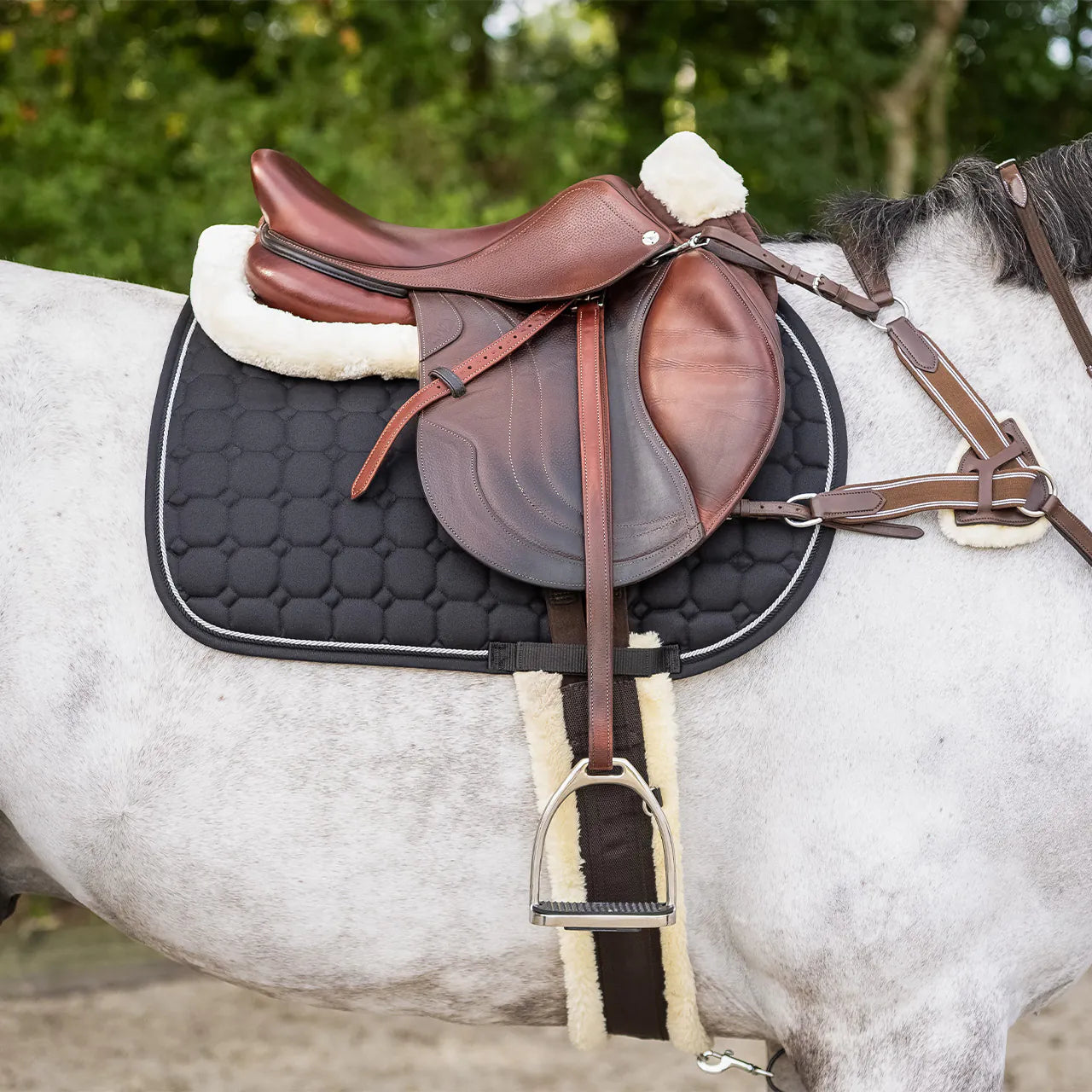 Cincha All Purpose cincha Ontario QHP para equitación - vista 10