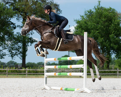 Cincha All Purpose cincha Ontario QHP para equitación - vista 14