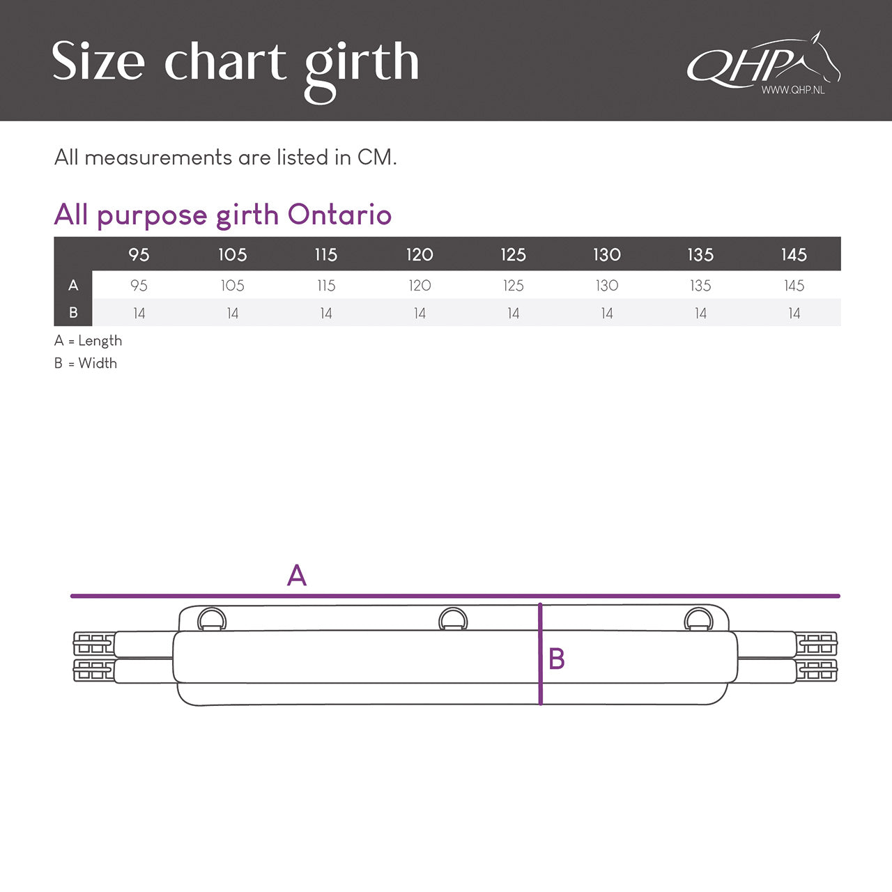 Cincha All Purpose cincha Ontario QHP para equitación - vista 15