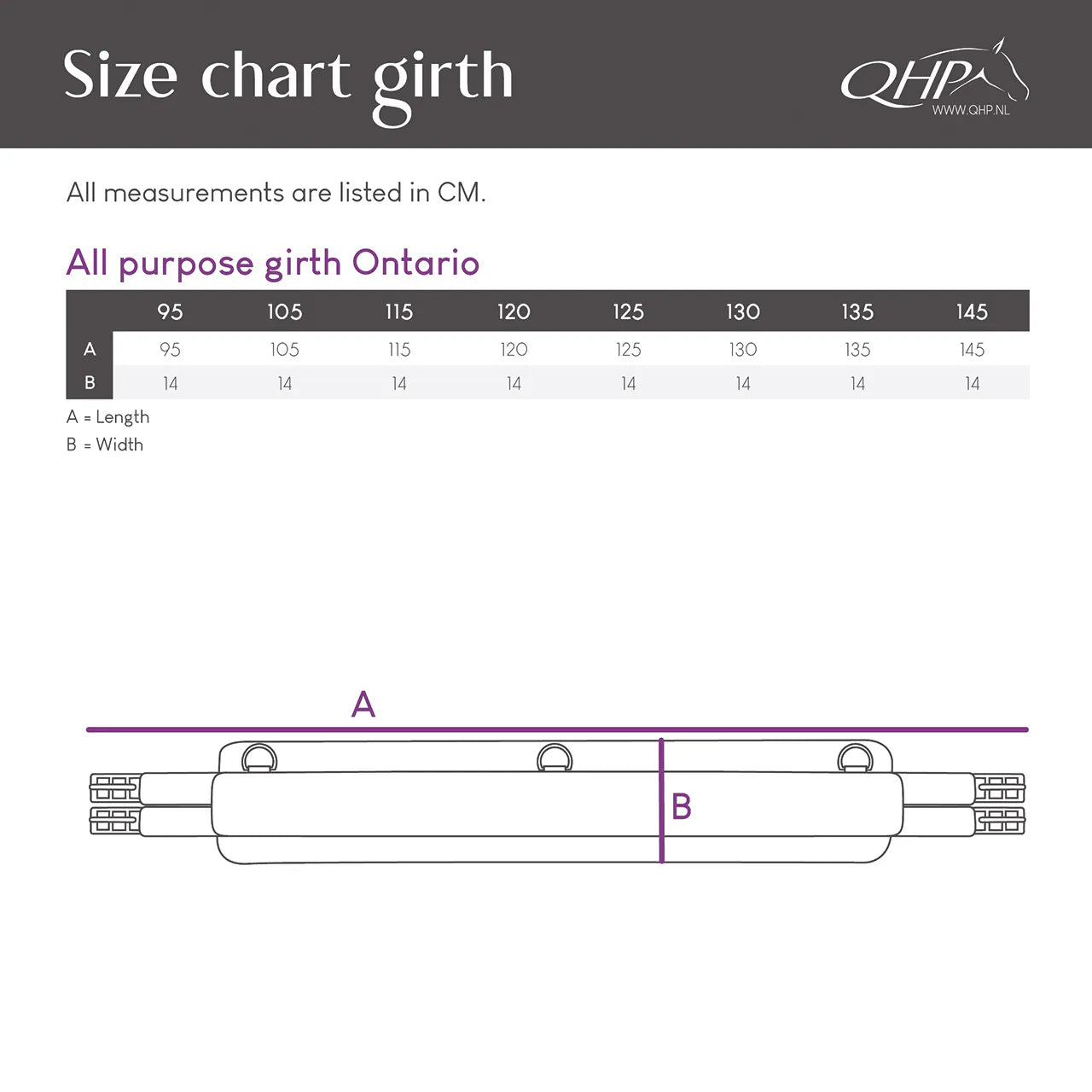 Cincha All Purpose cincha Ontario QHP para equitación - vista 16