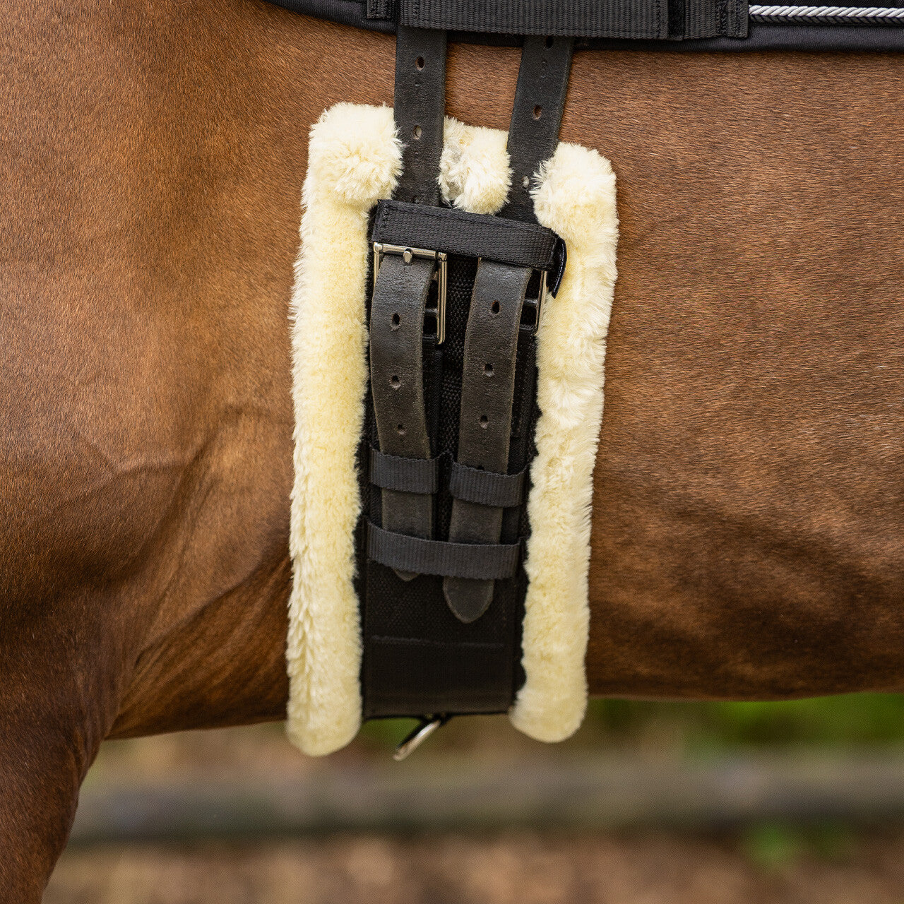 Cincha doma cincha Ontario QHP para equitación - vista 22