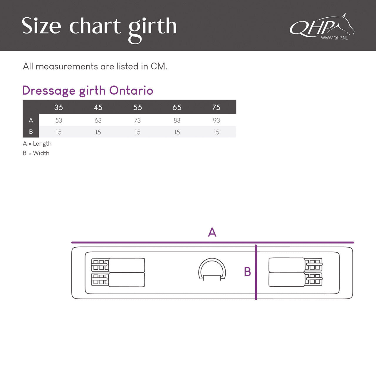 Cincha doma cincha Ontario QHP para equitación - vista 13