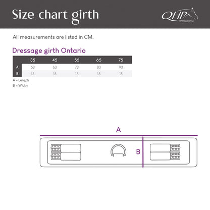 Cincha doma cincha Ontario QHP para equitación - vista 13