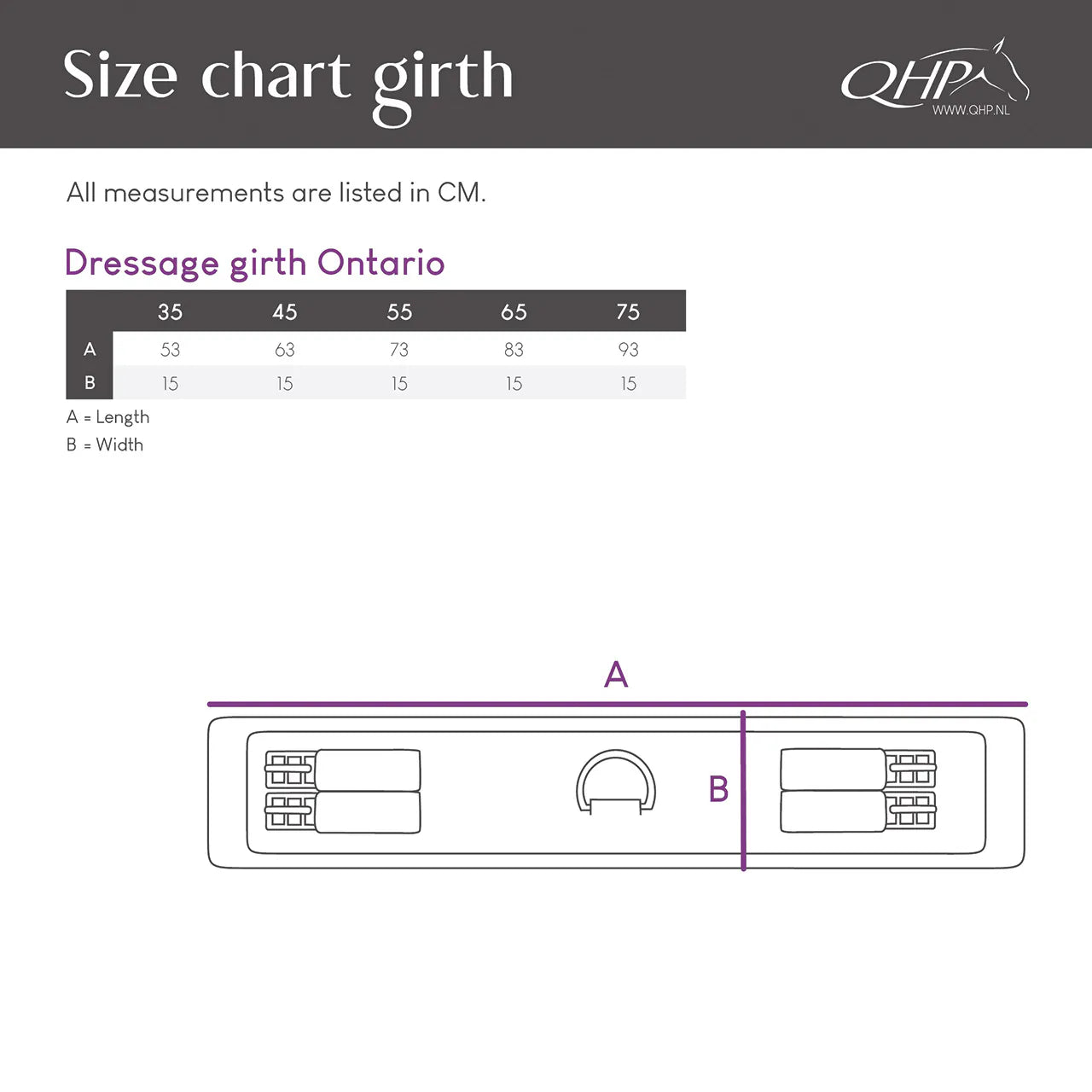 Cincha doma cincha Ontario QHP para equitación - vista 14