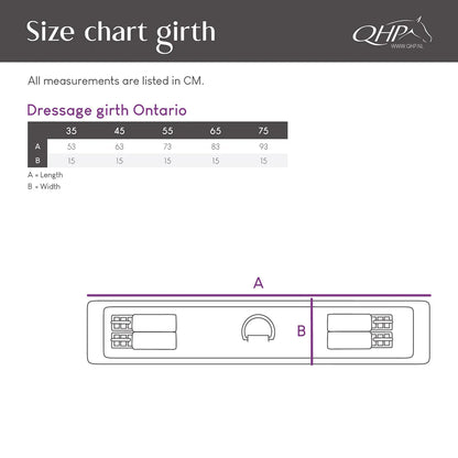 Cincha doma cincha Ontario QHP para equitación - vista 14