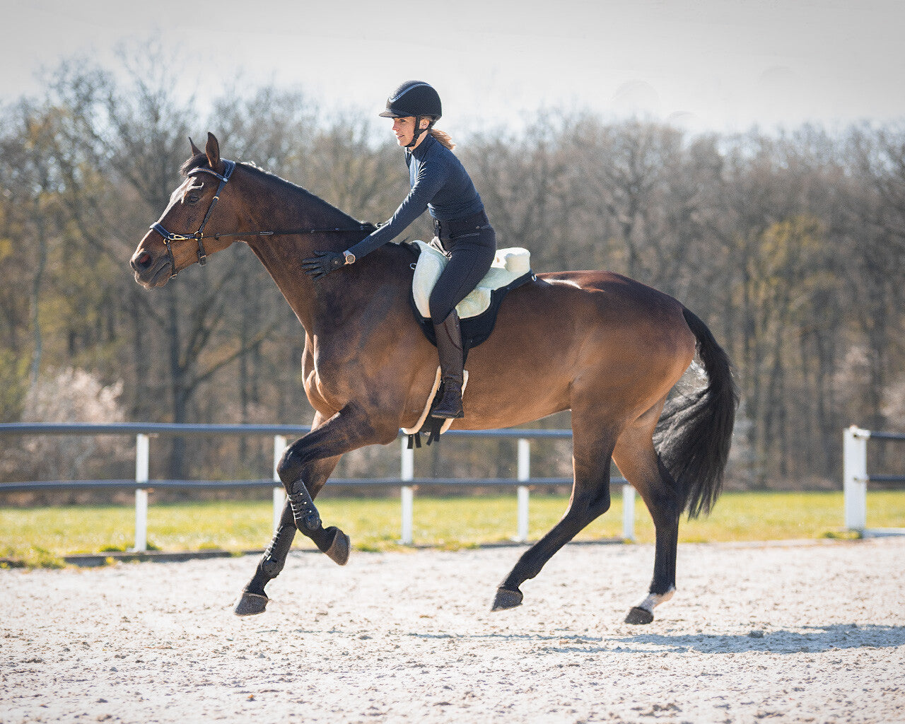 pelo mantilla pelo super suave QHP para equitación - vista 34