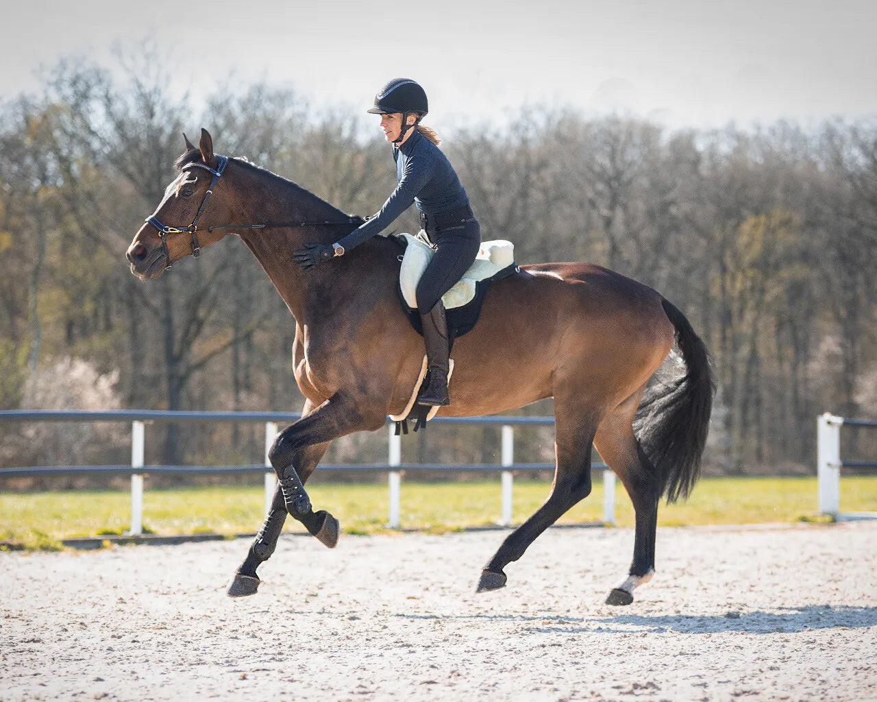 pelo mantilla pelo super suave QHP para equitación - vista 2