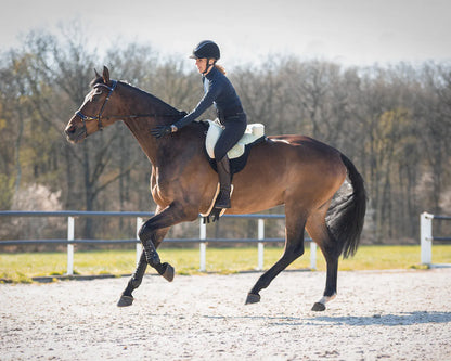 pelo Bareback pad super soft QHP para equitación - vista 2
