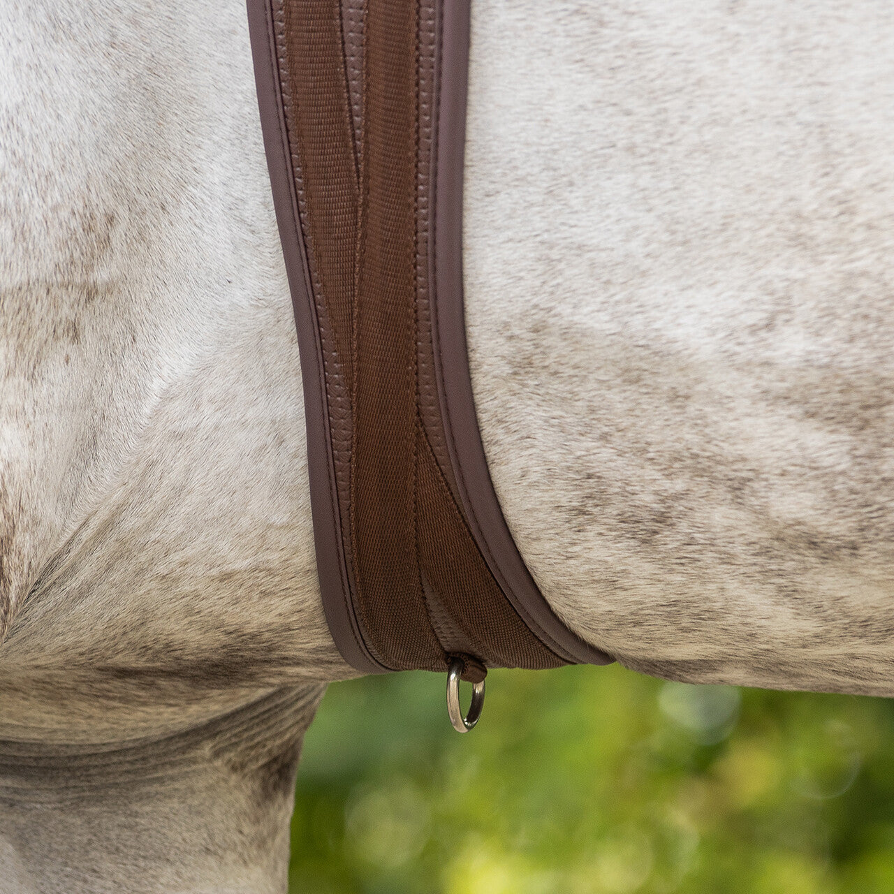 Cincha All Purpose cincha Basic pro QHP para equitación - vista 11