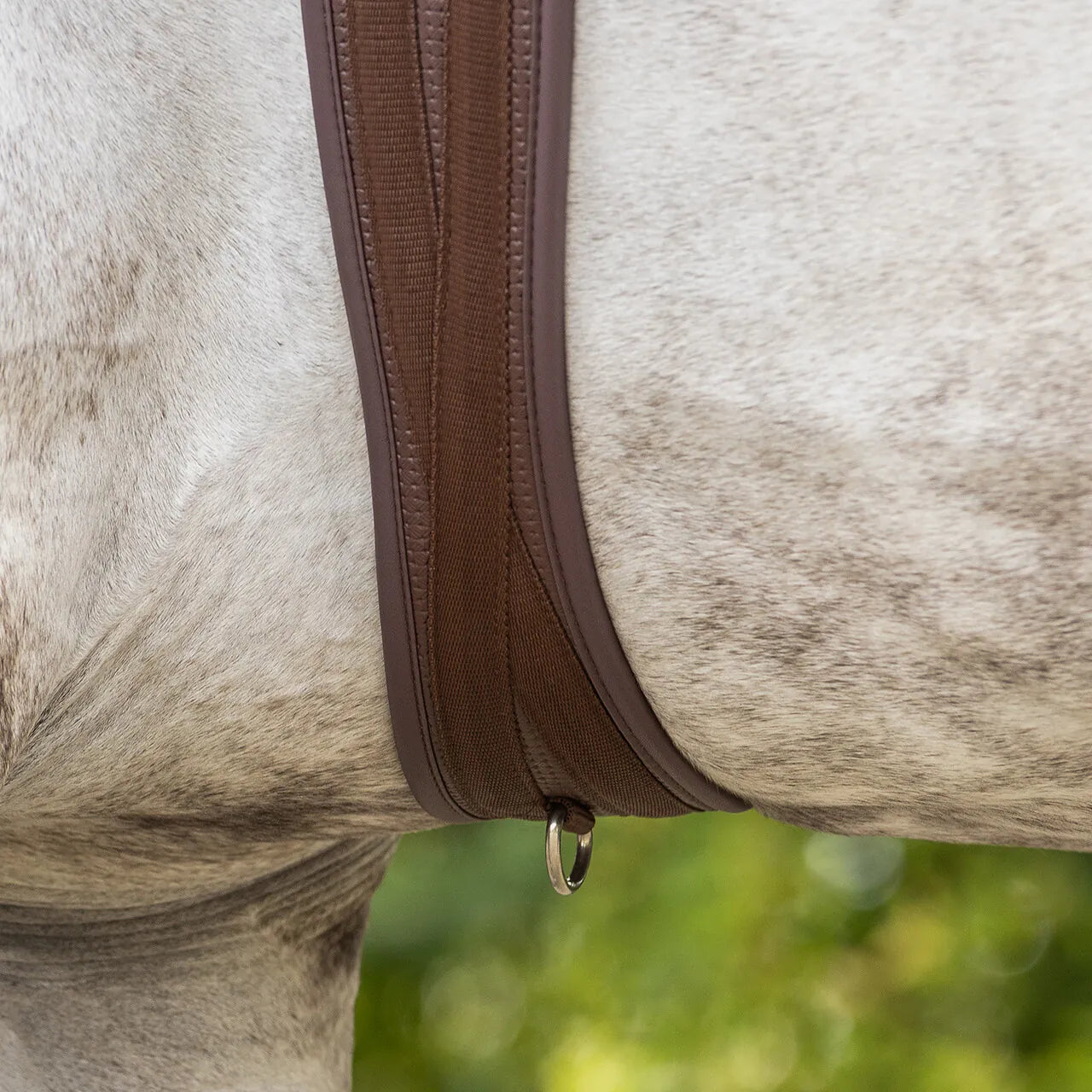 Cincha All Purpose cincha Basic pro QHP para equitación - vista 12