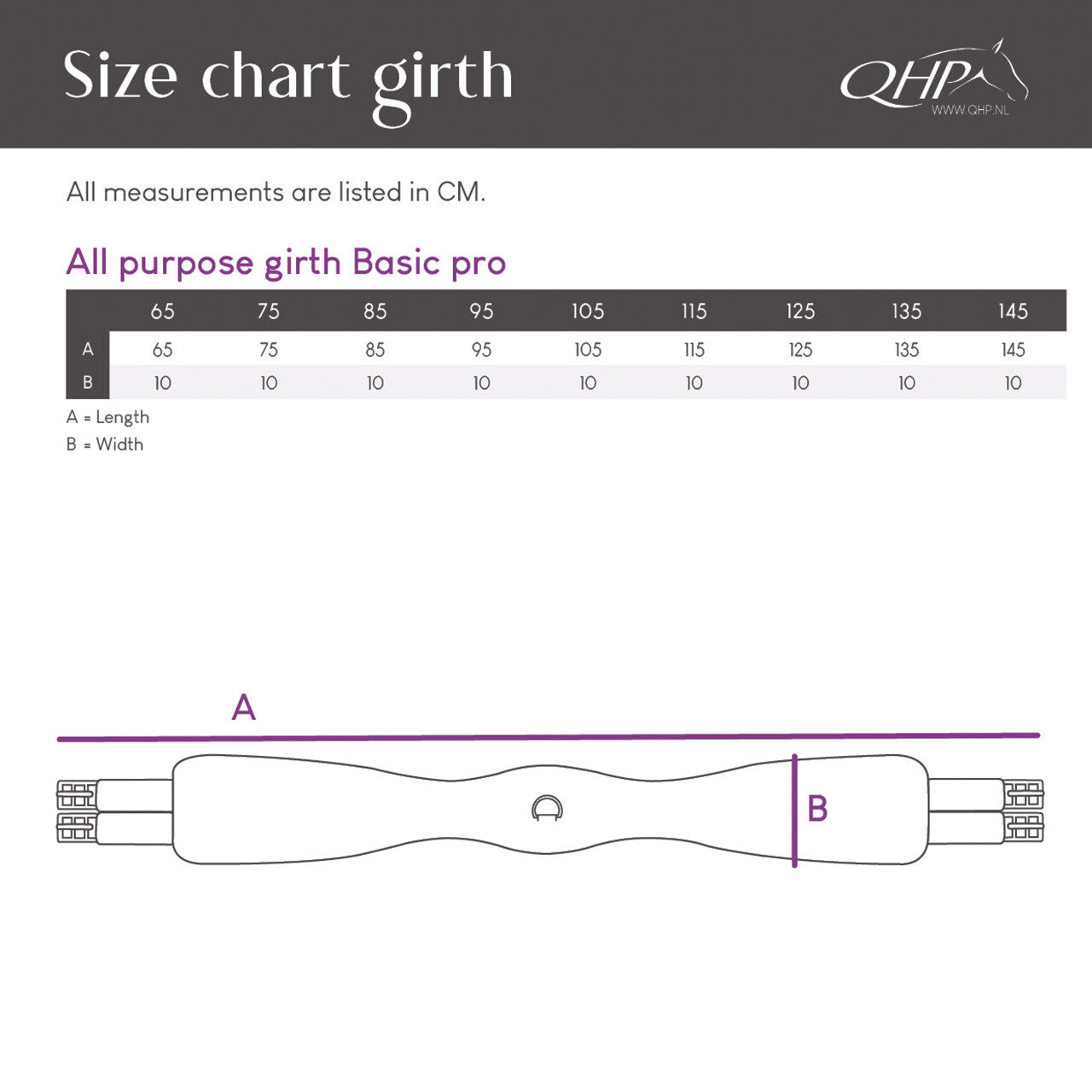 Cincha All Purpose cincha Basic pro QHP para equitación - vista 13