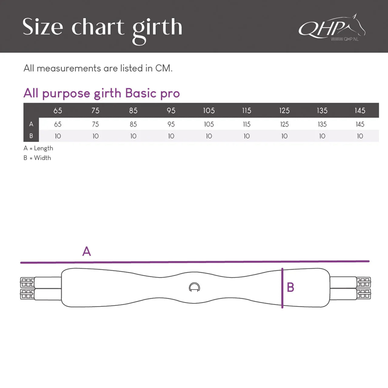 Cincha All Purpose cincha Basic pro QHP para equitación - vista 14