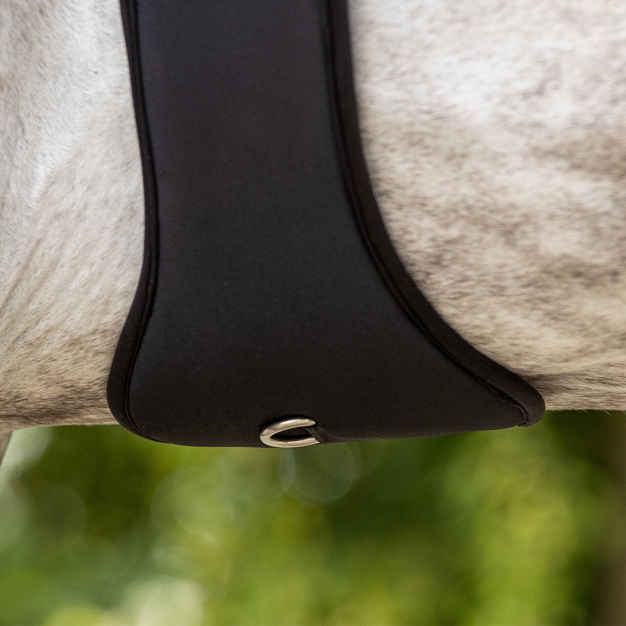 Cincha All Purpose cincha Memory QHP para equitación - vista 11