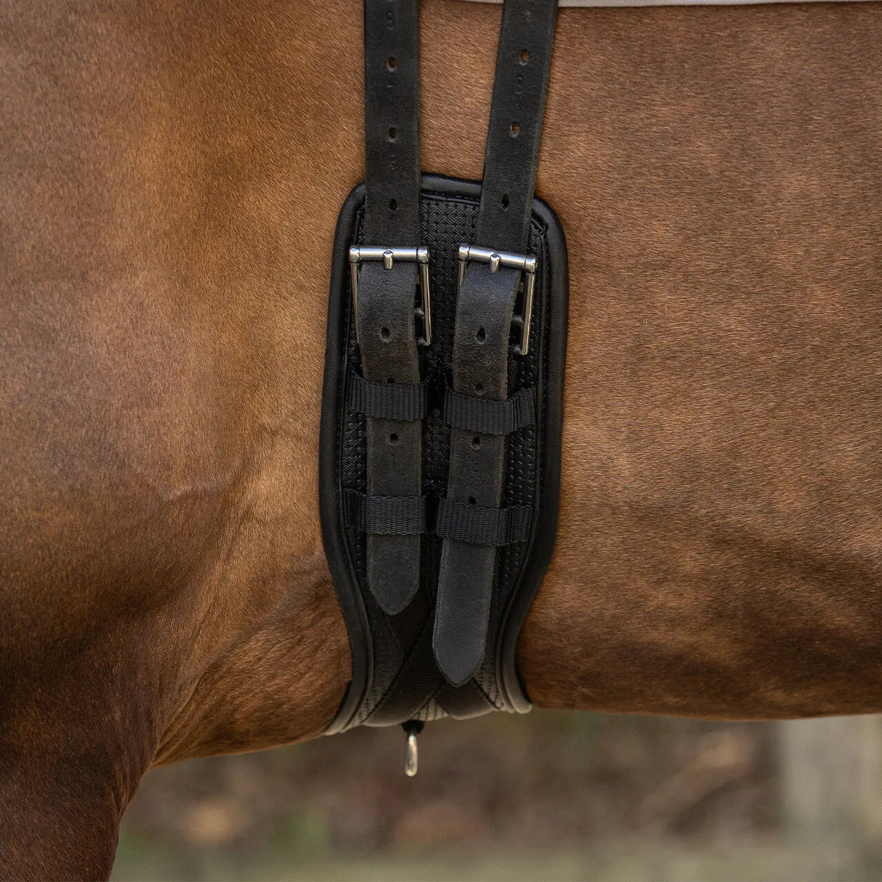Cincha doma cincha Basic pro QHP para equitación - vista 8