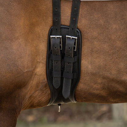 Cincha doma cincha Basic pro QHP para equitación - vista 8