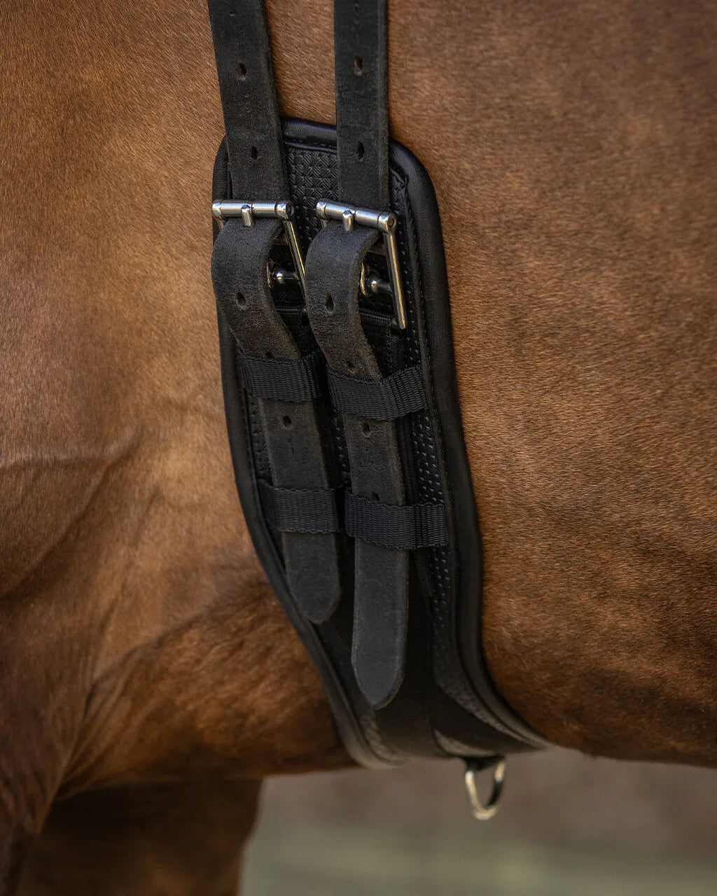 Cincha doma cincha Basic pro QHP para equitación - vista 10