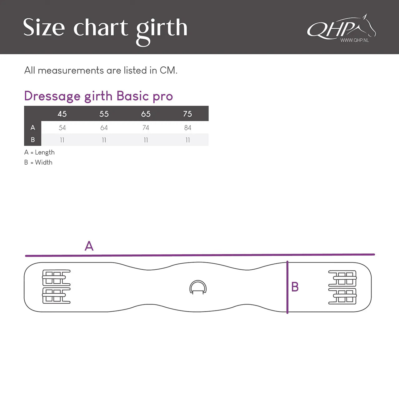 Cincha doma cincha Basic pro QHP para equitación - vista 14