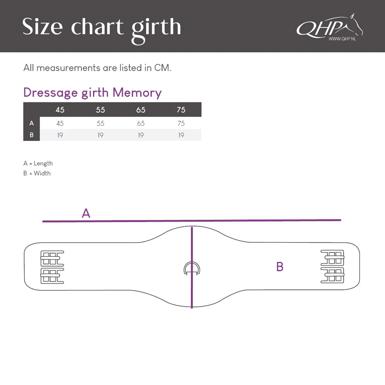 Cincha doma cincha Memory QHP para equitación - vista 14