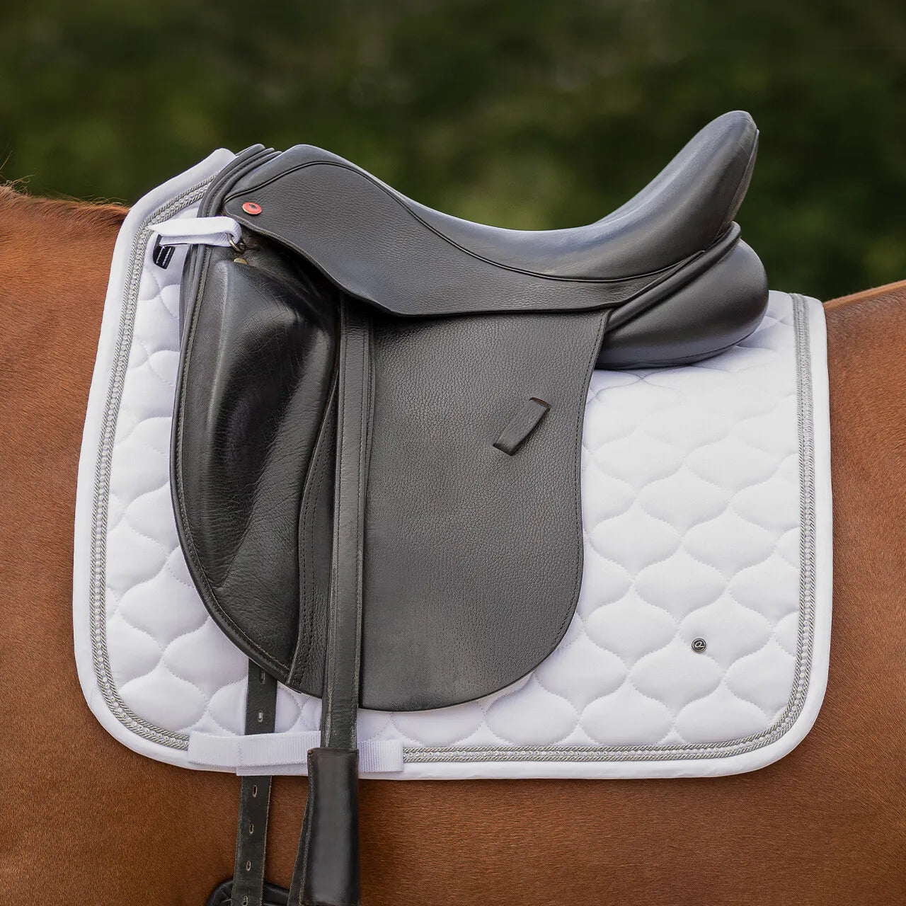 Mantillas Sparkle QHP para equitación - vista 10