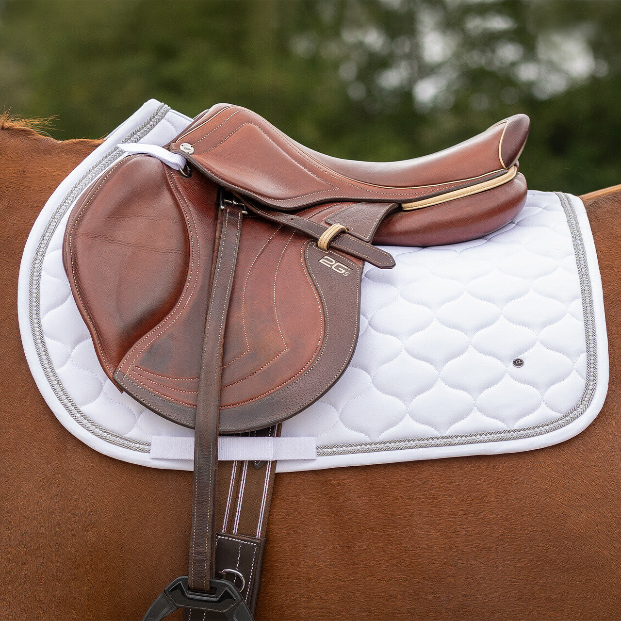 Mantillas Sparkle QHP para equitación - vista 11