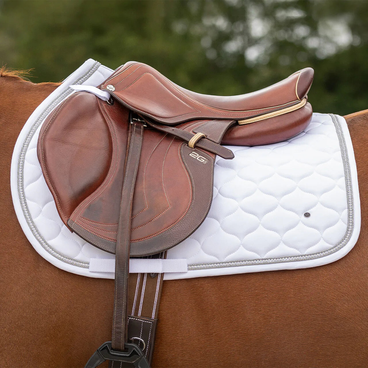 Mantillas Sparkle QHP para equitación - vista 12