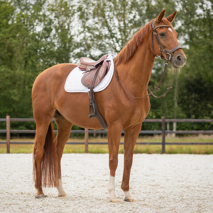 Mantillas Sparkle QHP para equitación - vista 40