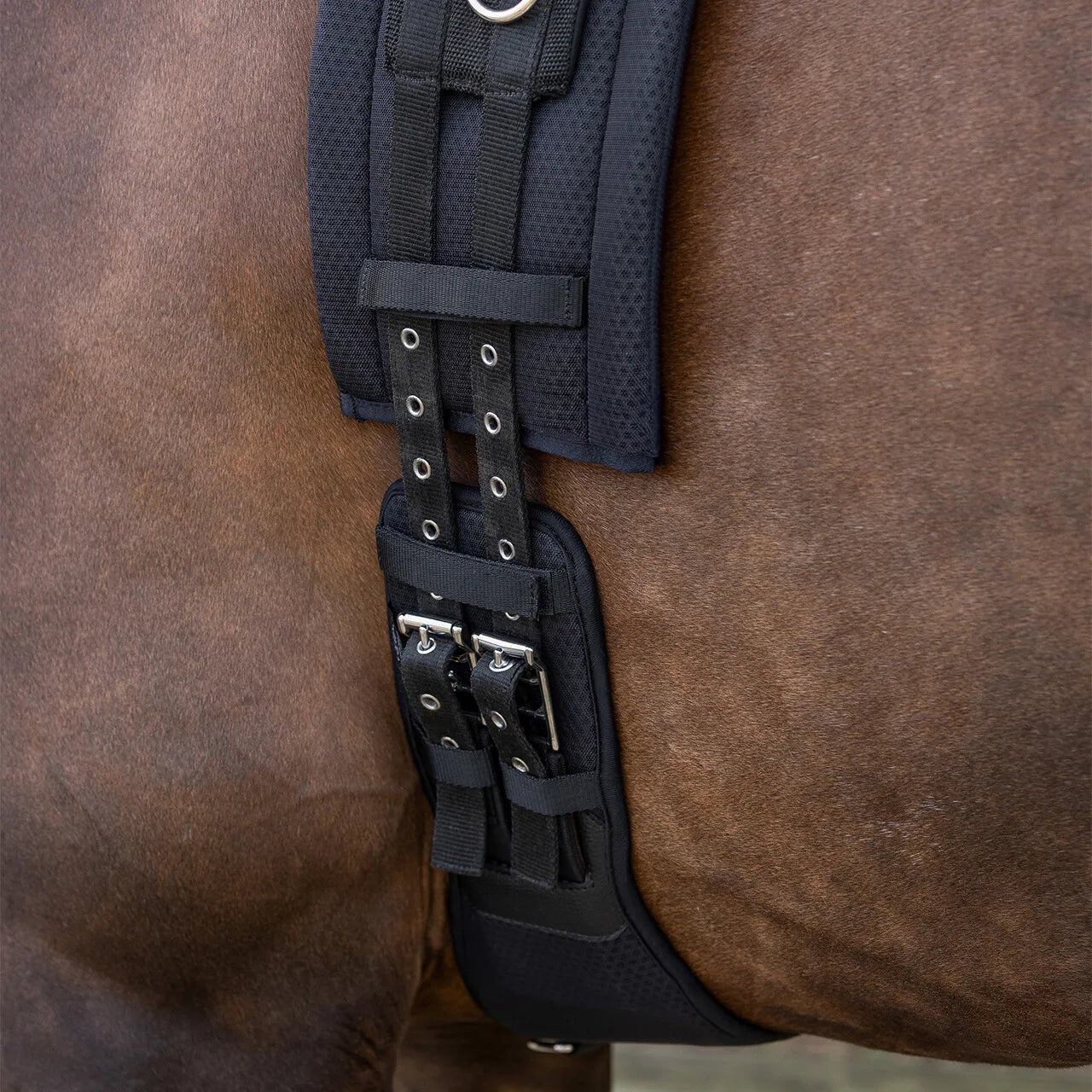 Cincha doma cincha Air Mesh QHP para equitación - vista 8