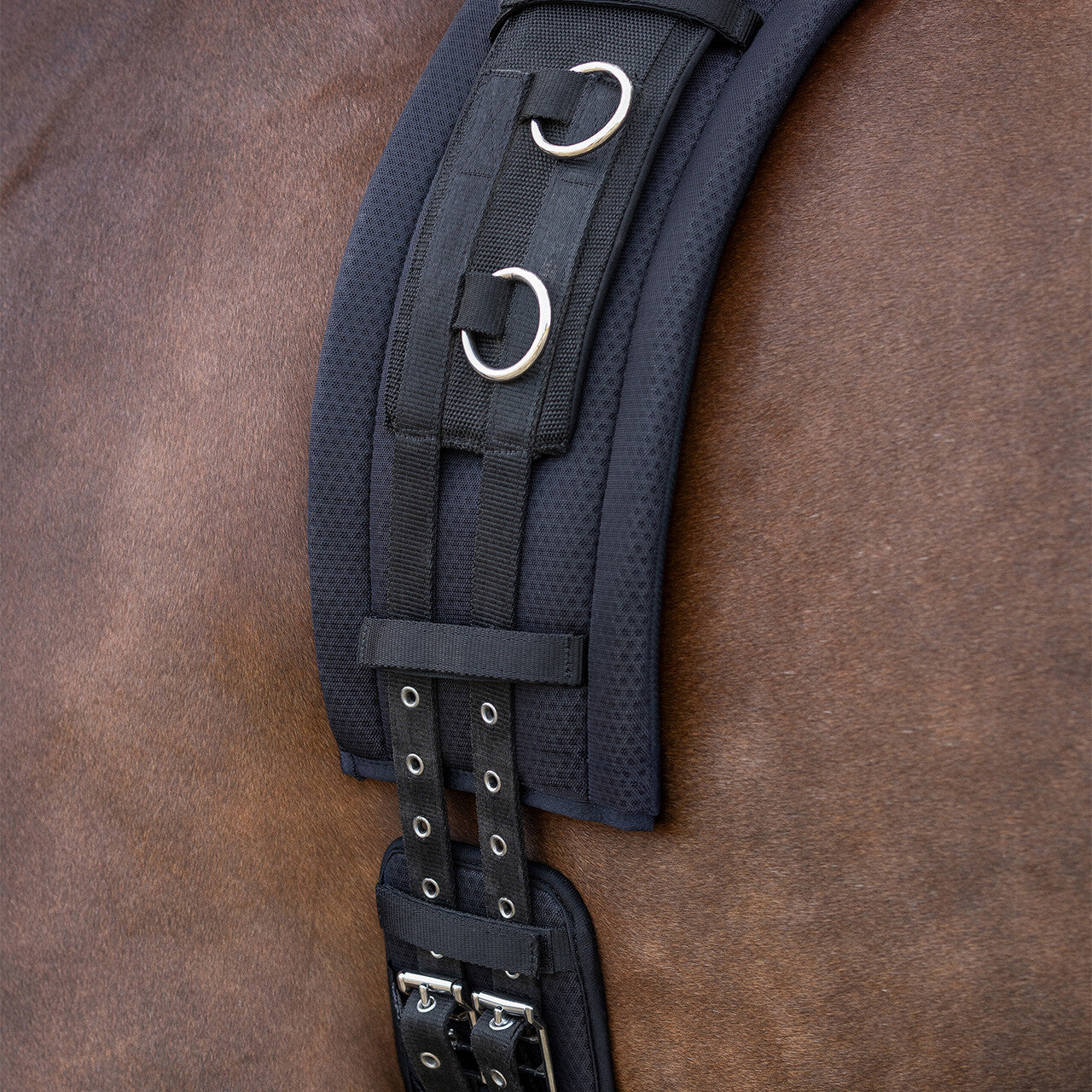 Ramal Lunge pad Air Mesh QHP para equitación - vista 15
