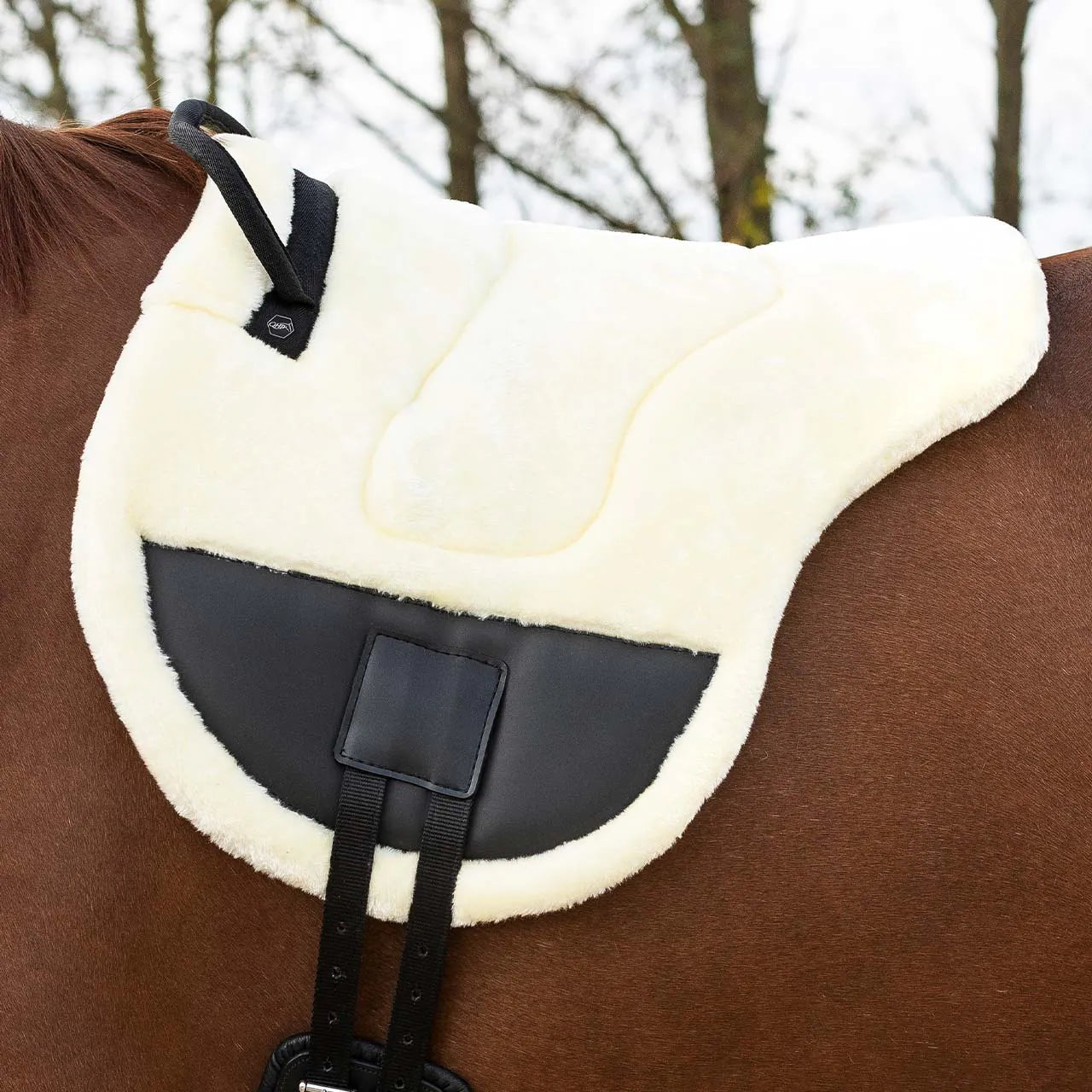 pelo mantilla pelo Ontario QHP para equitación - vista 8