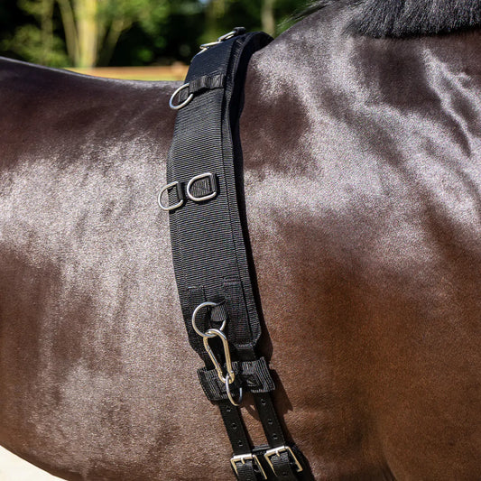 Cincha Lunging cincha Padded QHP para equitación - vista 2