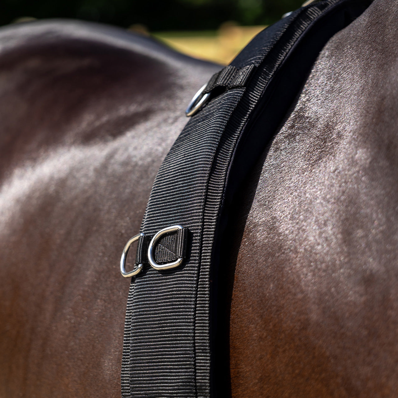 Cincha Lunging cincha Padded QHP para equitación - vista 15