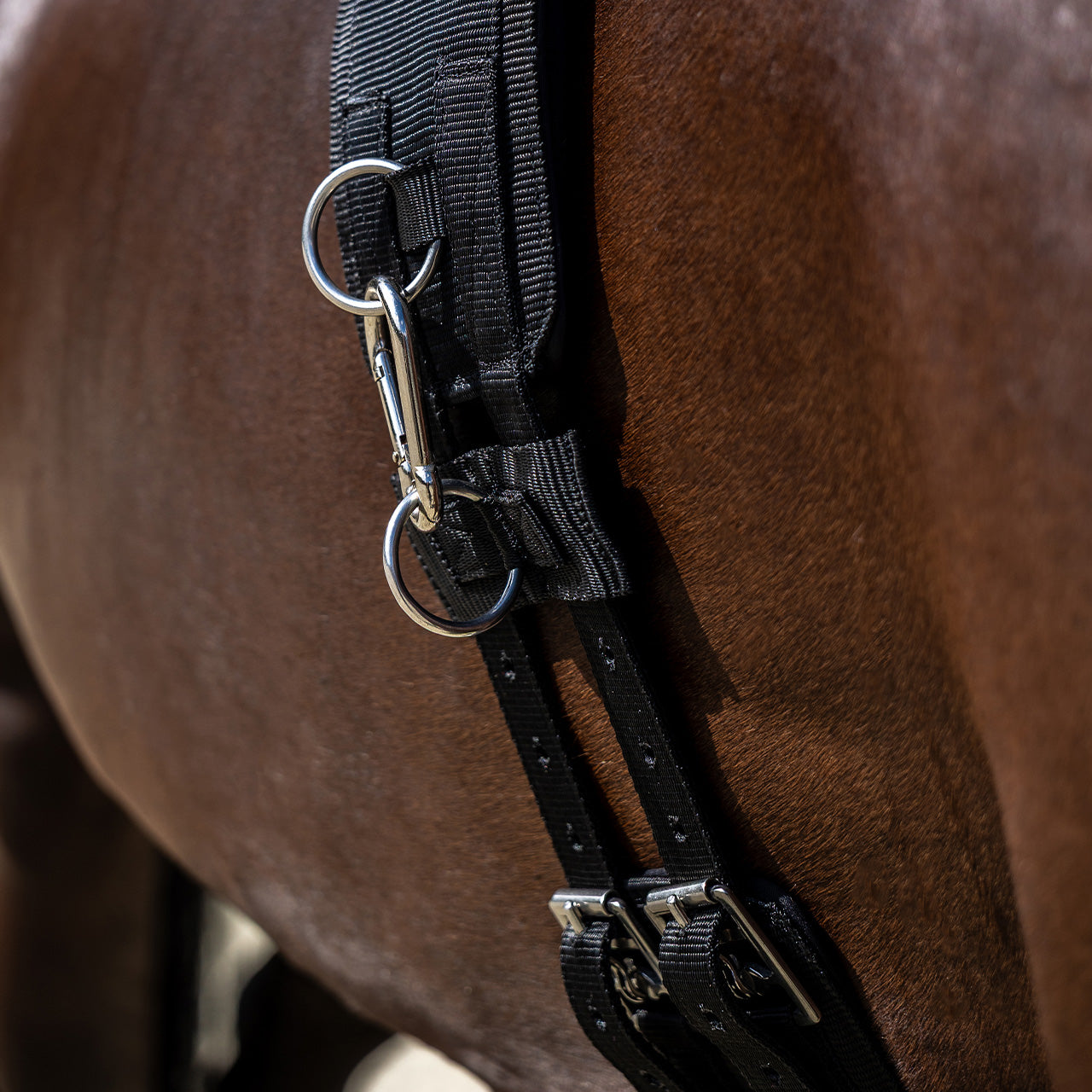 Cincha Lunging cincha Padded QHP para equitación - vista 5