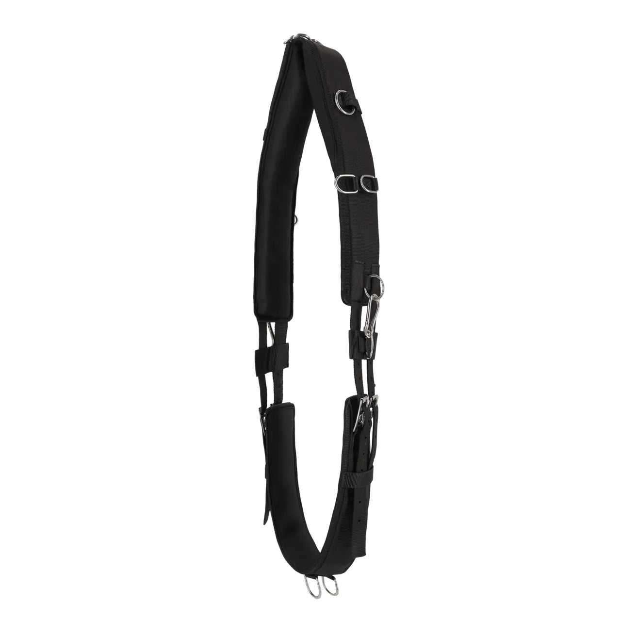 Cincha Lunging cincha Padded QHP para equitación - vista 8