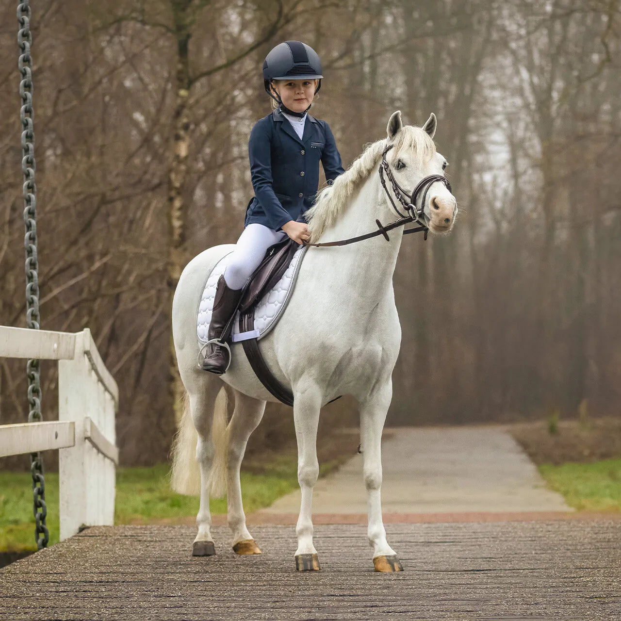 Cabezadas Complete silla set Melbourne QHP para equitación - vista 2