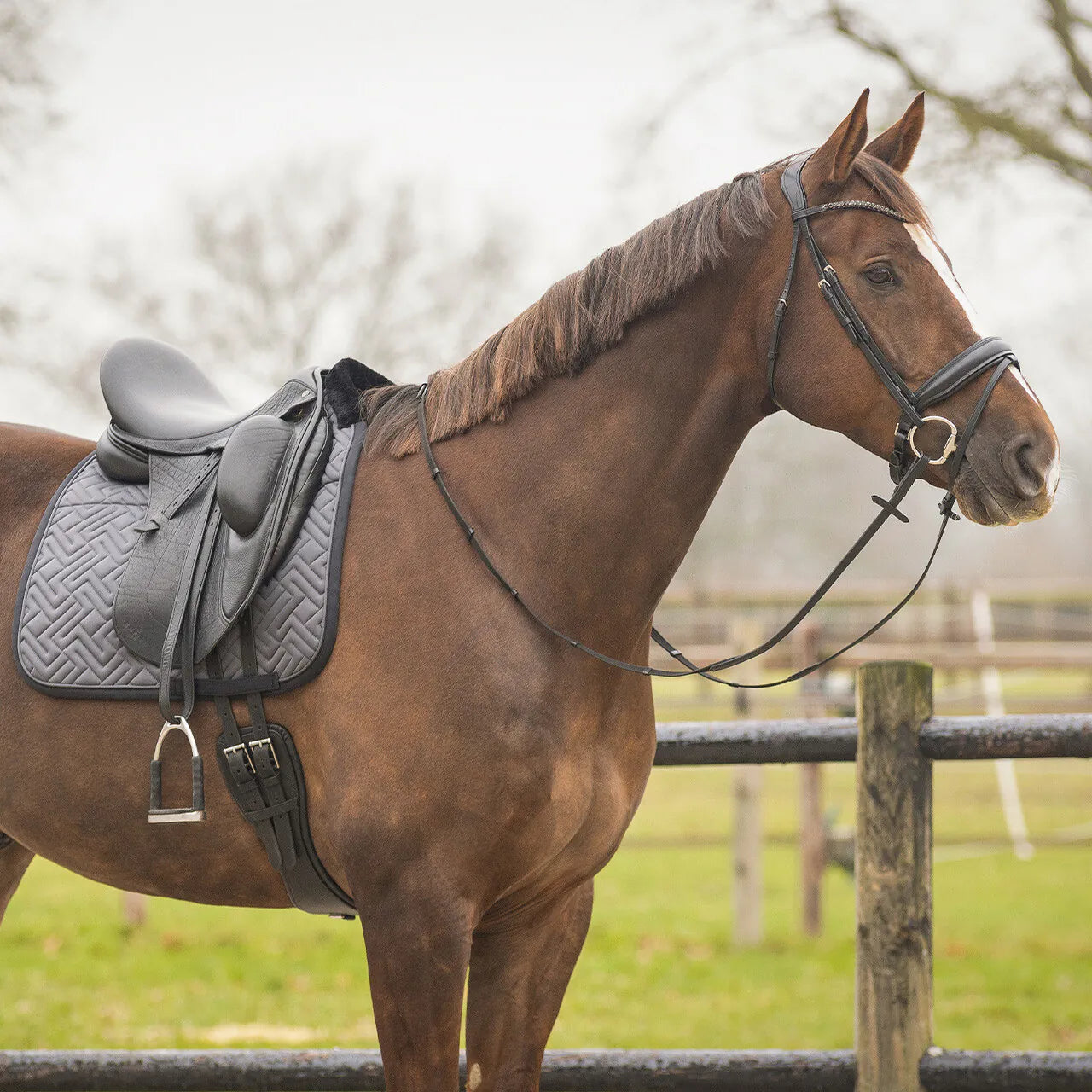 Mantillas Sensisoft QHP para equitación - vista 4