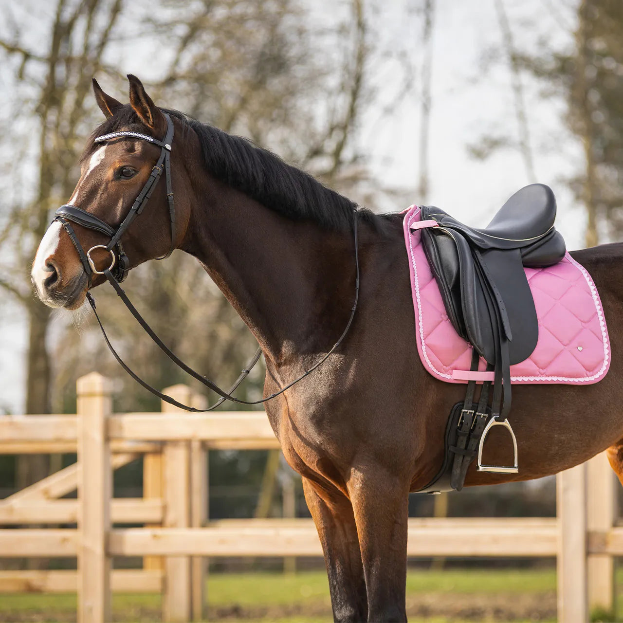 Mantillas Lyvia QHP para equitación - vista 2
