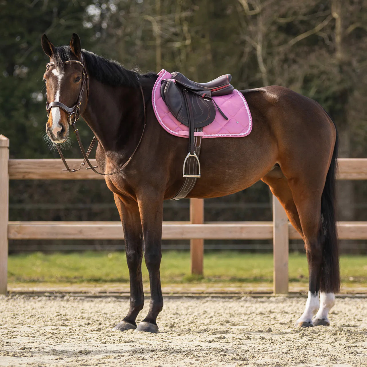 Mantillas Lyvia QHP para equitación - vista 4