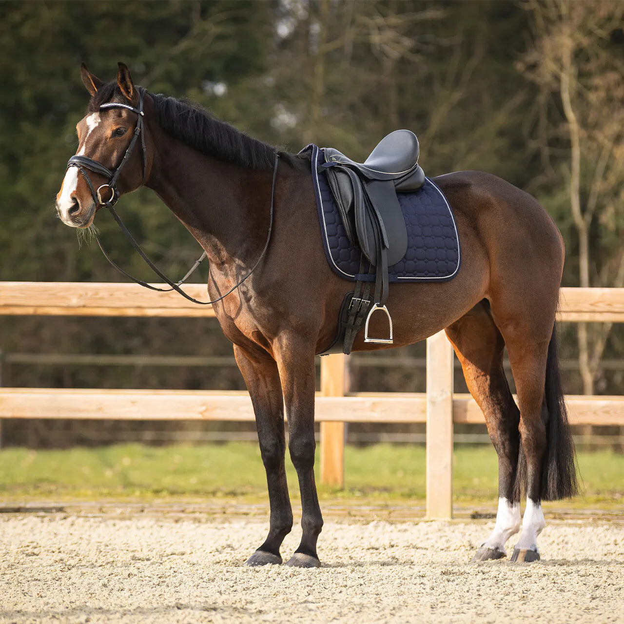 Mantillas Firenze QHP para equitación - vista 2