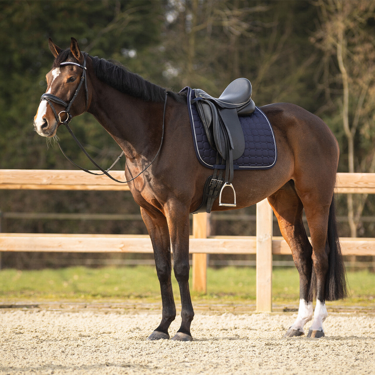 Mantillas Firenze QHP para equitación - vista 34