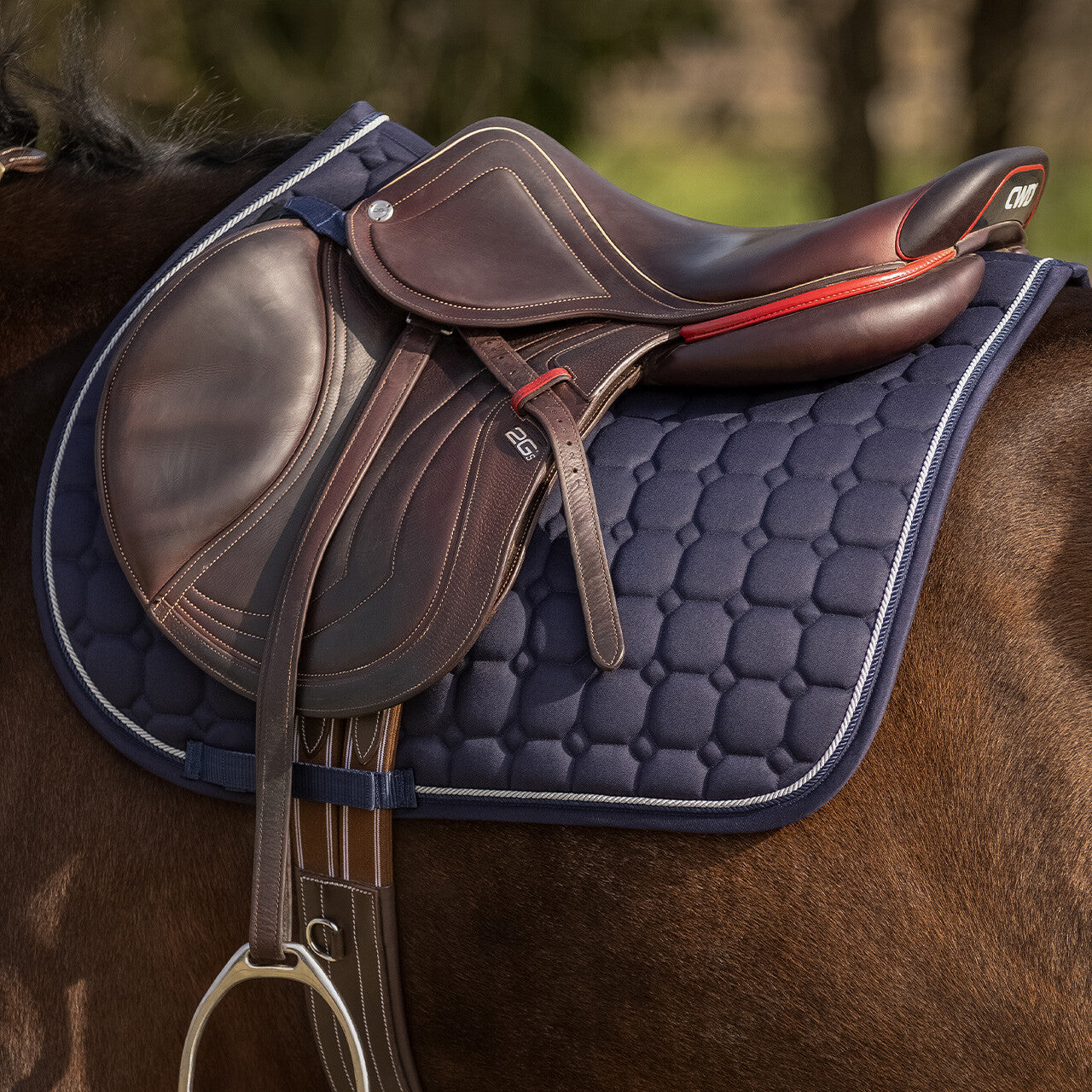 Mantillas Firenze QHP para equitación - vista 17