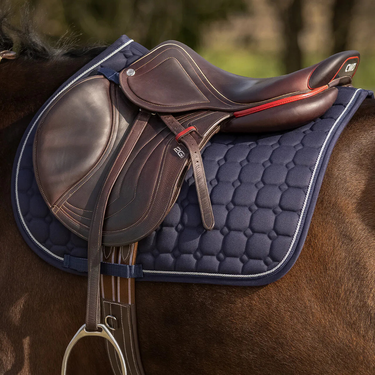 Mantillas Firenze QHP para equitación - vista 18