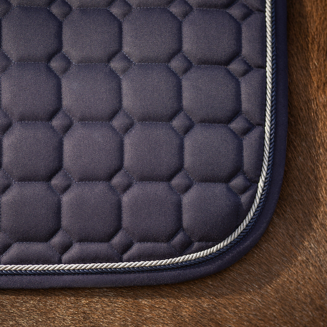 Mantillas Firenze QHP para equitación - vista 19