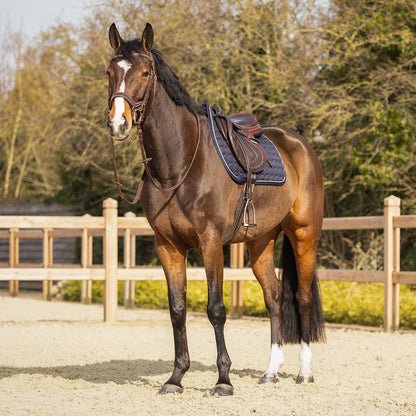 Mantillas Firenze QHP para equitación - vista 31