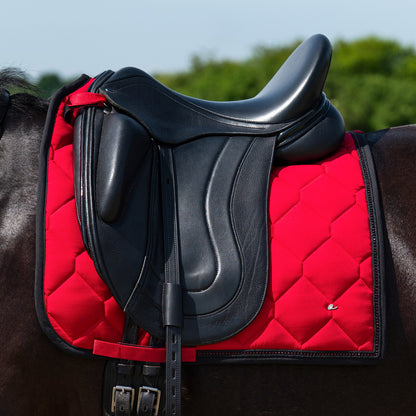 Mantillas Oakleigh QHP para equitación - vista 6