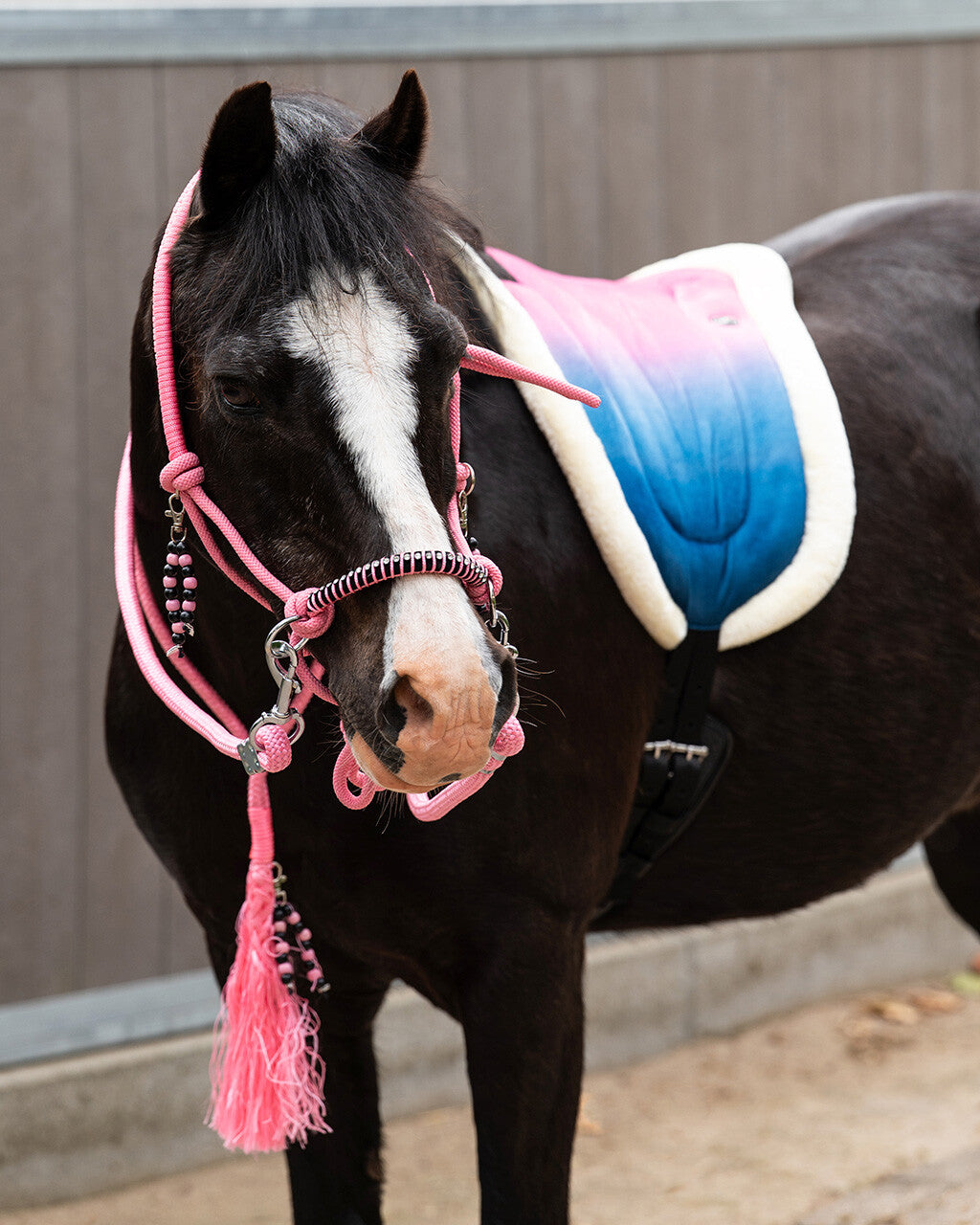 pelo mantilla pelo Rosalynn QHP para equitación - vista 30
