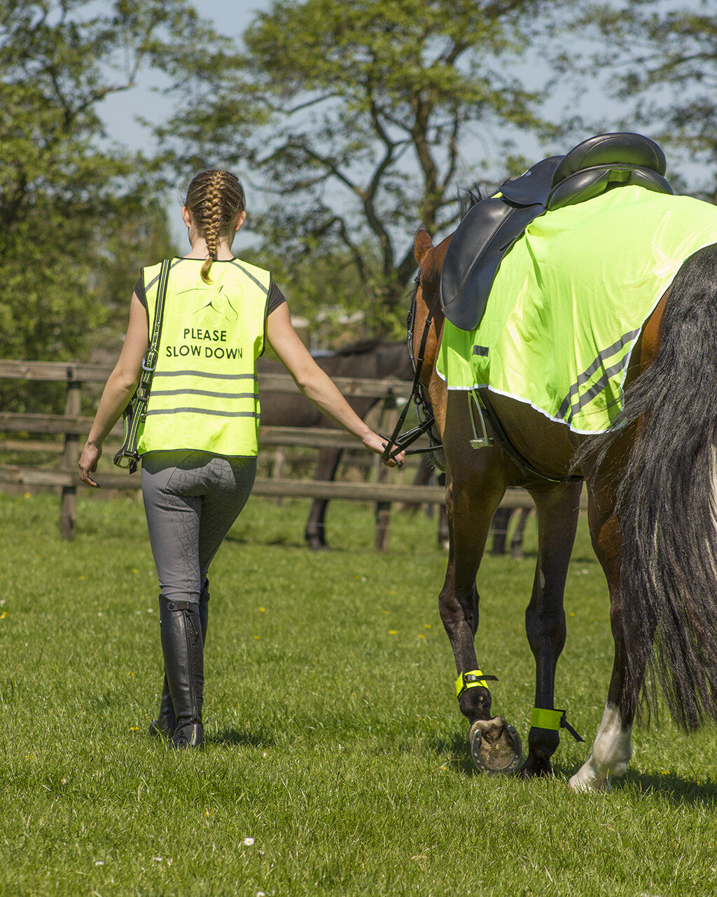 Protectores Reflection leg correas (per 2) QHP para equitación - vista 5