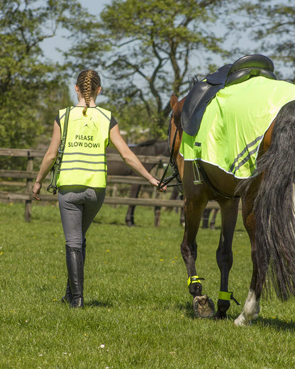 Protectores Reflection leg correas (per 2) QHP para equitación - vista 6
