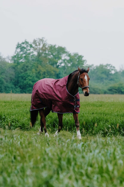 Manta para caballo Equi-Theme Tyrex 1200D Turnout Rug with High Neck Burgundy detalle 2